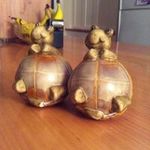 tracy nicole labram-grayson - @tracylabramgrayson - Instagram