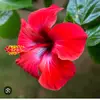 tracy_taylor78 - @tracy.grayson3 - TikTok