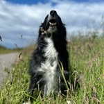 Tracy Gresham - @tracy_gresham1 - Instagram