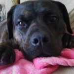 Tracy Gresham Jindra - @greshamjindra - Instagram