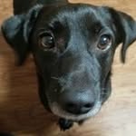 Tracy Grimsley Rader - @trixiebix - Instagram
