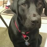 Tracy Grogan - @jerryg130 - Instagram