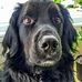 Tracy Grohs - Facebook