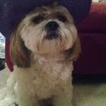 Tracy Grover - @nurse_inspector - Instagram