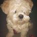 Tracy Grover - Facebook
