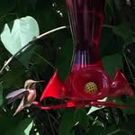 Tracy Guenther - @guenthertracy - Instagram