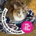 Tracy Guenther - Facebook
