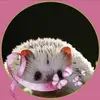 Tracey Gunn - @tracey.gunn - TikTok
