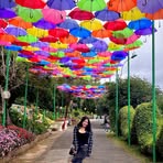 Tracy Ha - Facebook