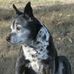 Tracy Haack - Facebook