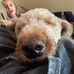 Tracy Haack - Facebook