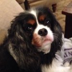 Tracy (Hacker) MacDonnell - @tracy7558 - Instagram