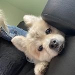 Tracy Hackett Seamans - @tracyseamans - Instagram