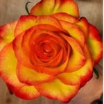 Tracie L Zirker Haggard - @hazeleyes074 - Instagram