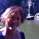 Tracy Haley - @tracy.haley.779 - Instagram