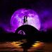 Tracy Halstead - Facebook