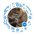 Tracy Ellen Halverson - @halverson662 - Instagram