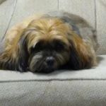 Tracy H - @tracy.halverson.14 - Instagram