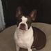 Tracy Hamel - Facebook
