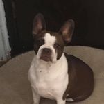 Tracy Hamel - @hamel388 - Instagram