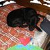 Tracy Hamel - Facebook