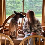 Tracy Hammer - Facebook