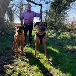 Tracy Hampson - @tracyhampo - Instagram