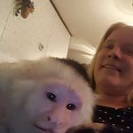 Tracy Doyle Harrington - @tracyharrington54 - Instagram