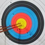 Tracy Harrington - @brownies266 - Instagram