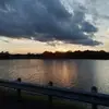 tracyharrod81 - @tracyharrod81 - TikTok