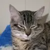Tracy Harry - @tracy.harry25 - TikTok