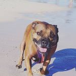 Tracy Hartwell - @tracyhartwell - Instagram