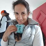 Tracy Hartwell - @thart0429 - Instagram