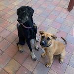 Tracy Leanne - @tracy.hartwell.568 - Instagram