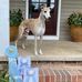 Tracie Haskell - Facebook