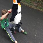 Tracy Hatch - @hatchtracy - Instagram