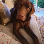 Tracy Hatton - @thatton33 - Instagram