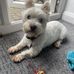 Tracy Hatton - Facebook
