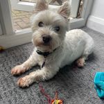 Tracy Hatton - @t_hatton64 - Instagram