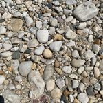Tracie Heffelfinger - @tracieheffelfinger - Instagram