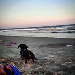 Tracy Botts Heffelfinger - @tracybottsheffelfinger - Instagram