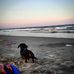 Tracy Botts Heffelfinger - Facebook