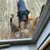 Tracy Hein - @tracy.hein1 - TikTok
