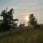 Tracy Heintz - @heintztracy - Instagram