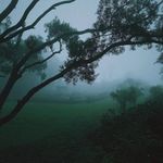 Tracey Heiser - @tracey_heieser - Instagram