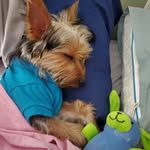 Traci Helmer Waner - @waner93071 - Instagram