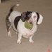 Tracy Helmer - Facebook