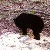 Tracy Helmuth - @tracy.helmuth - TikTok