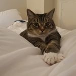 Tracy Herring - @carolinabreeze22 - Instagram