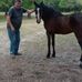 Tracy Herring - Facebook